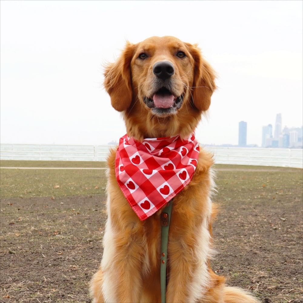 Crowned Beauty Valentines Day Dog Bandanas Large 2 Pack,Red Heart Adjustable Triangle Holiday Plaid Reversible Scarves For Mediu