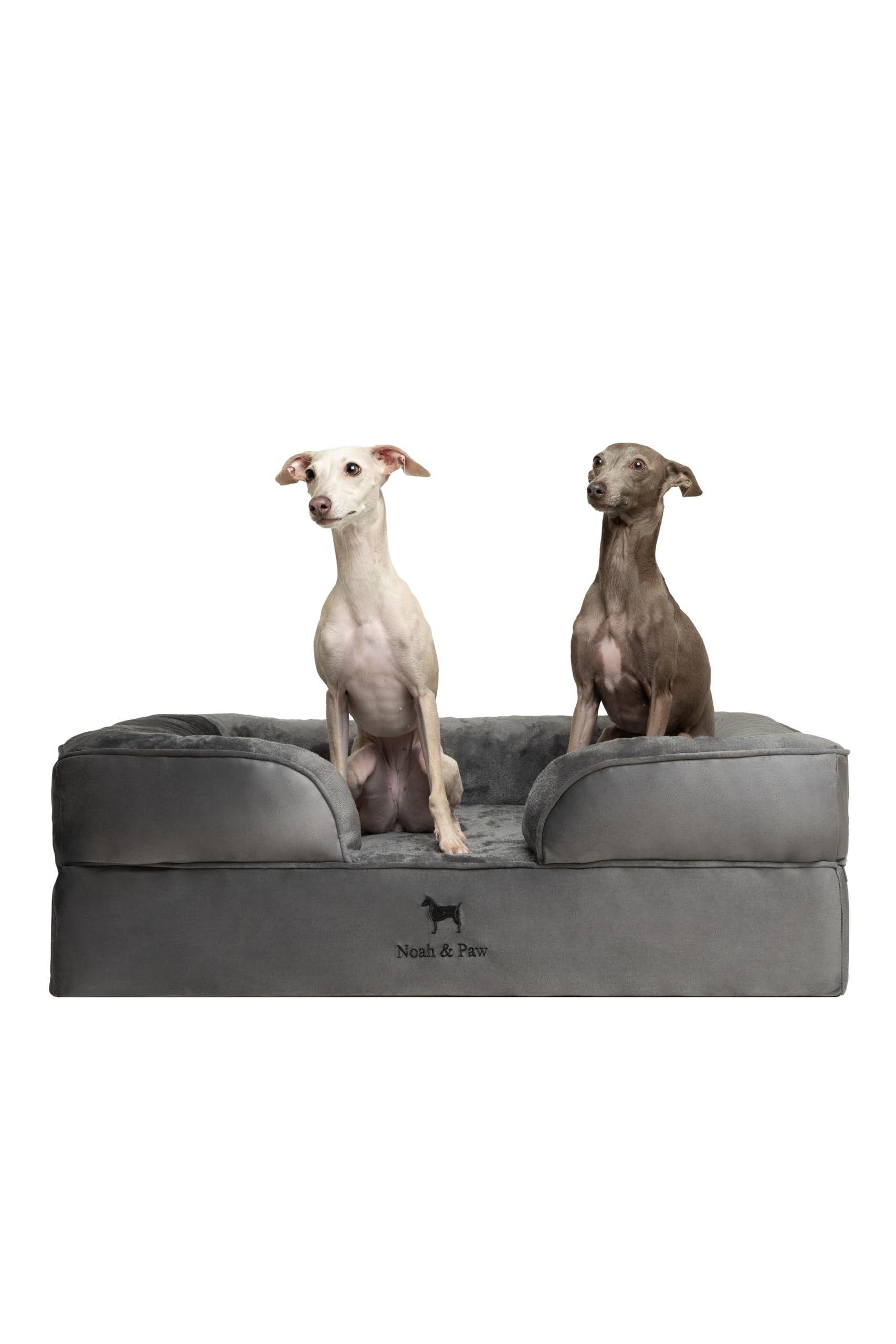 NOAH & PAW Large Dog Bed, 35x25x11 Inch, Orthopedic Dog Beds, Eggshell Memory Foam Infused with Cooling Gel, Inner Cover, Waterp