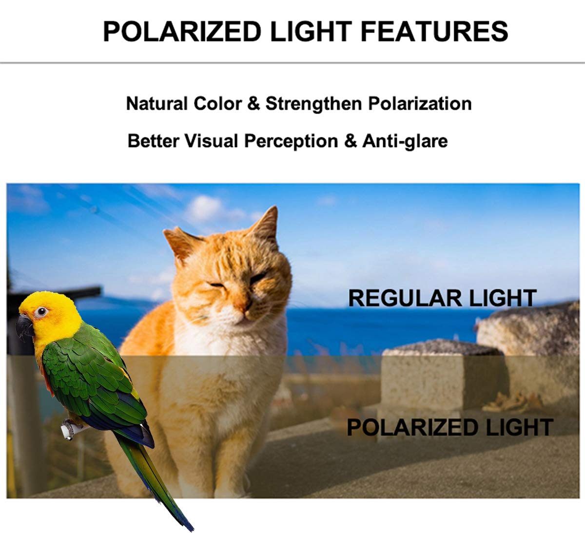 Bird Carrier Cage, Bird Travel Backpack With Stainless Steel Tray And Standing Perch