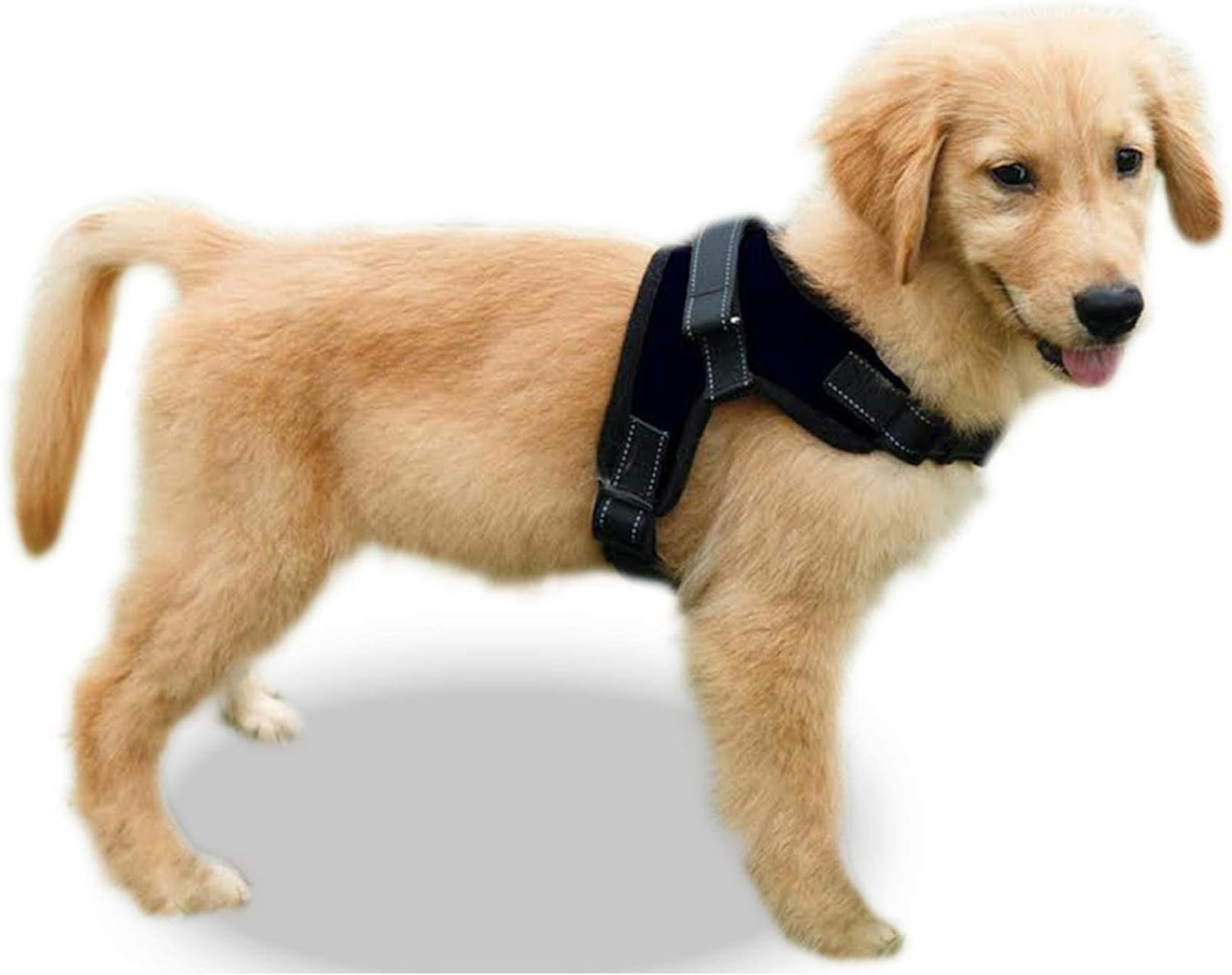 Copatchy No Pull Reflective Adjustable Dog Harness With Handle (X-Small, Black)