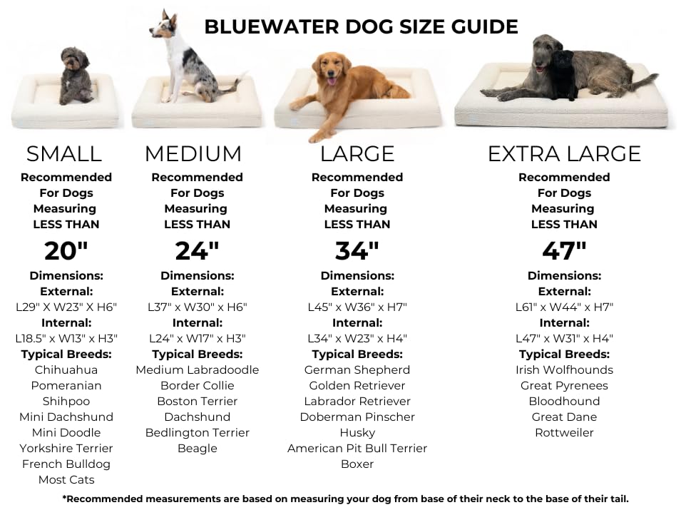 Bluewater Dog Luxury Boucle Orthopedic Memory Foam Dog Bed With Waterproof Liner And Machine Washable Cover With Ykk Zippers (X-