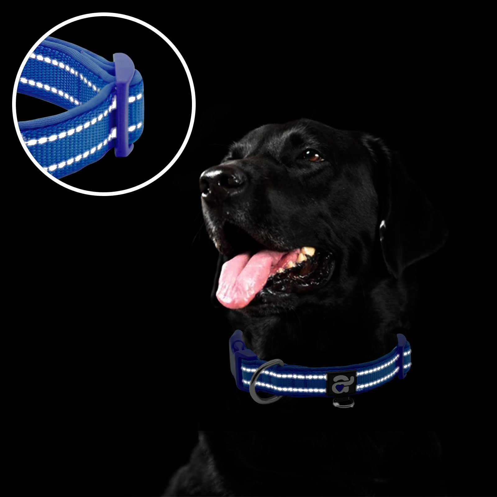 Azuza Reflective Dog Collar,Soft Neoprene Padded Pet Collar With Id Tag Ring,Adjustable For Medium Dogs,Royal Blue,M