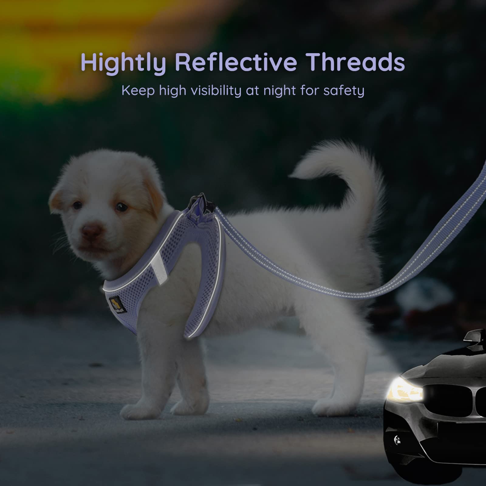 Bella & Pal Small Dog Harness, Lavender, L, Animal Harness With Leash Set, No Pull, Step In, Reflective, Mesh, For Extra Small D