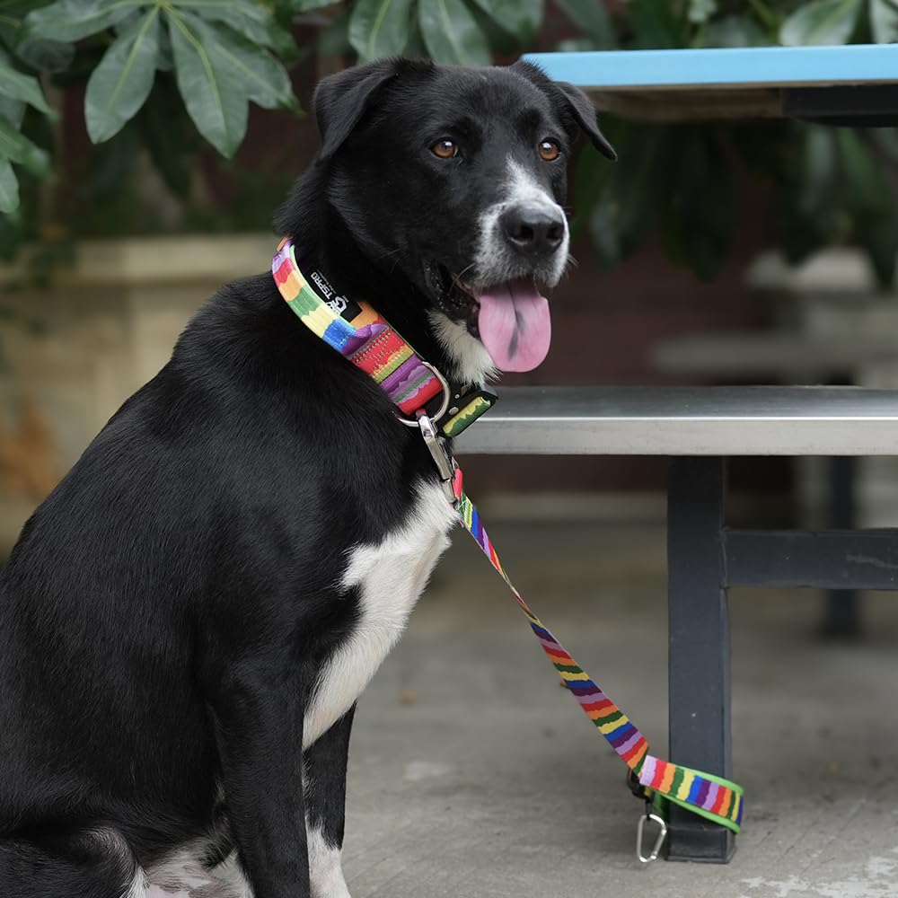 Tspro Dog Training Leash With Sturdy Metal Buckle, 26 Inches Adjustable Short Leash For Large Dogs, Comfortable Padded Handle (B