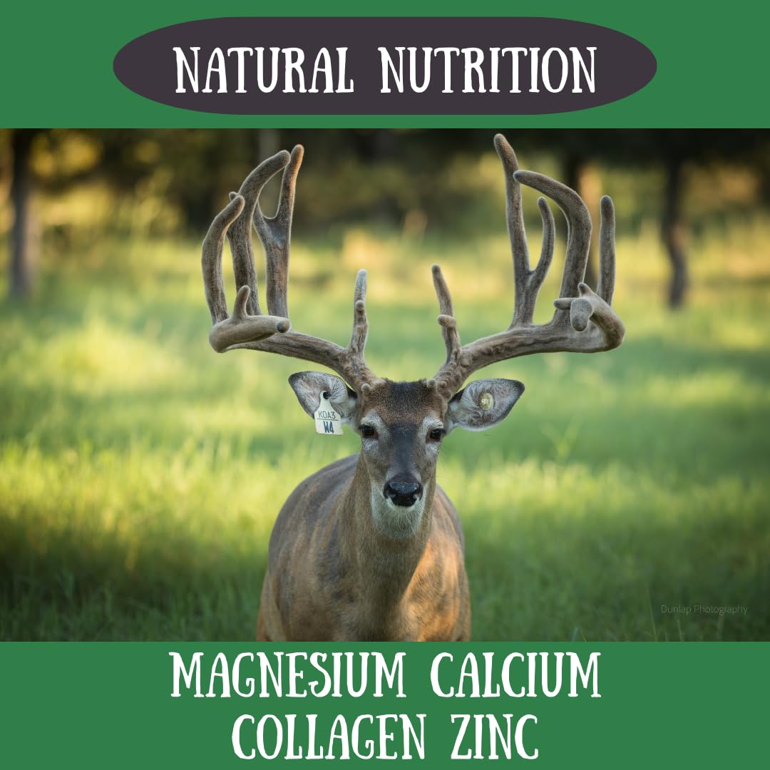 Deer Valley Chews Premium Deer Antler for Dogs - Large 6-7 Inches Long, Single Antler - All Natural Dental Treat for Teething an