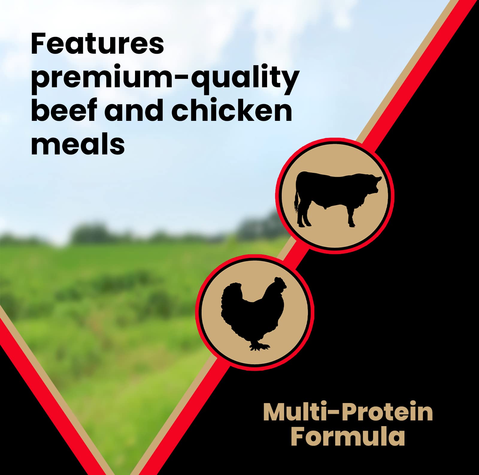 Victor Super Premium Dog Food - High Energy Dry Dog Food for Active Dogs - Gluten Free Dog Food with Beef and Chicken Meal Prote