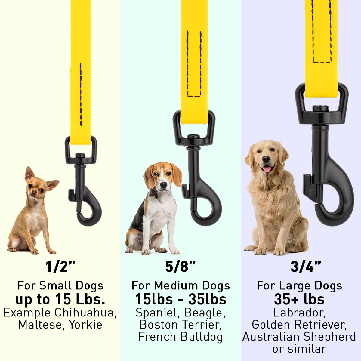 Dogline Biothane Waterproof 4ft Dog Leash Strong Coated Nylon Webbing with Black Hardware Odor-Proof Easy to Clean High Performa