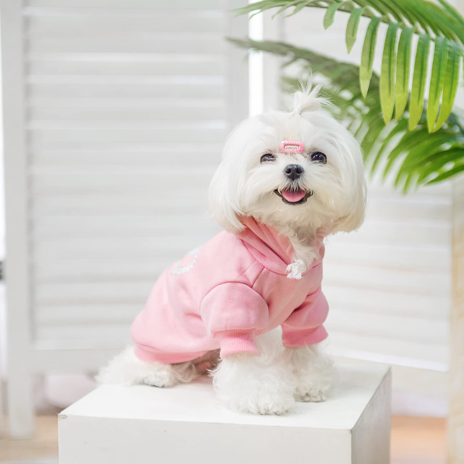 Expawlorer Princess Dog Cat Fleece Sweatshirt Hoodies , Pink, Small