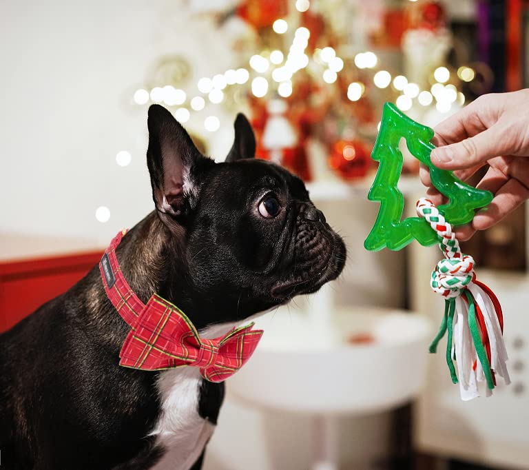 Maca Bates Christmas Dog Collar With Bow Tie & Flower Tie, Dog Bandana For Small Medium Large Dogs,Elk Christmas Tree Winter Dog Collar With Adjustable Metal Buckle
