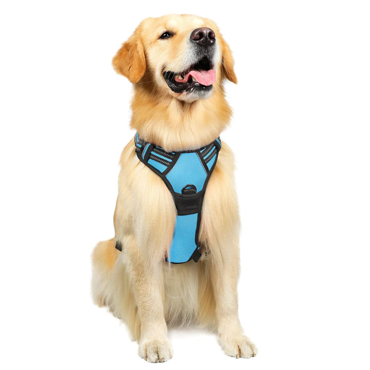 Rabbitgoo Dog Harness, No-Pull Pet Harness With 2 Leash Clips, Adjustable Soft Padded Dog Vest, Reflective No-Choke Pet Oxford Vest With Easy Control Handle For Large Dogs, Blue, L