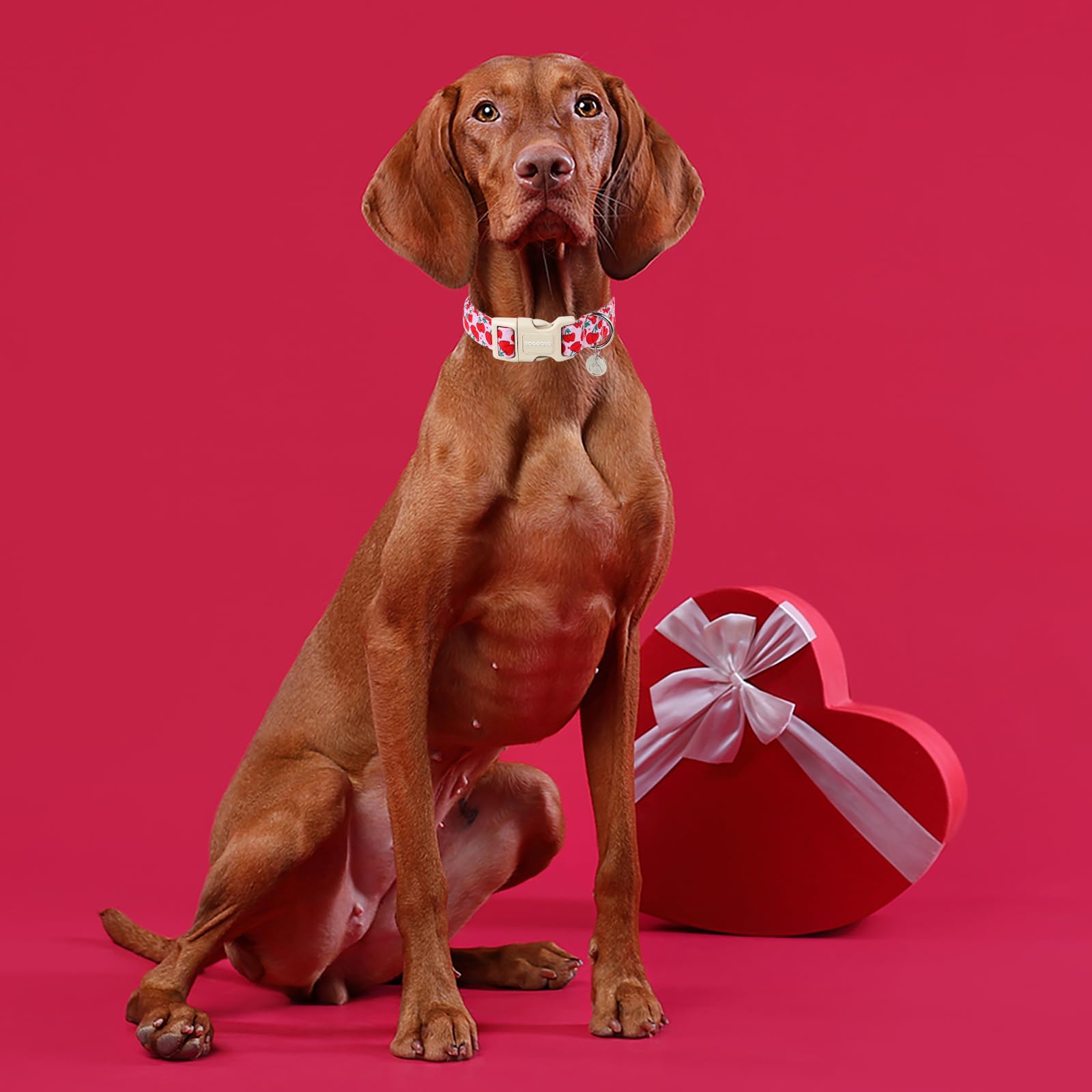 Dogwong Pink Heart Cherry Dog Collar Adjustable Soft Natural Fabric Girl Pet Dog Collar Cute Heart Valentine Puppy Necklace For