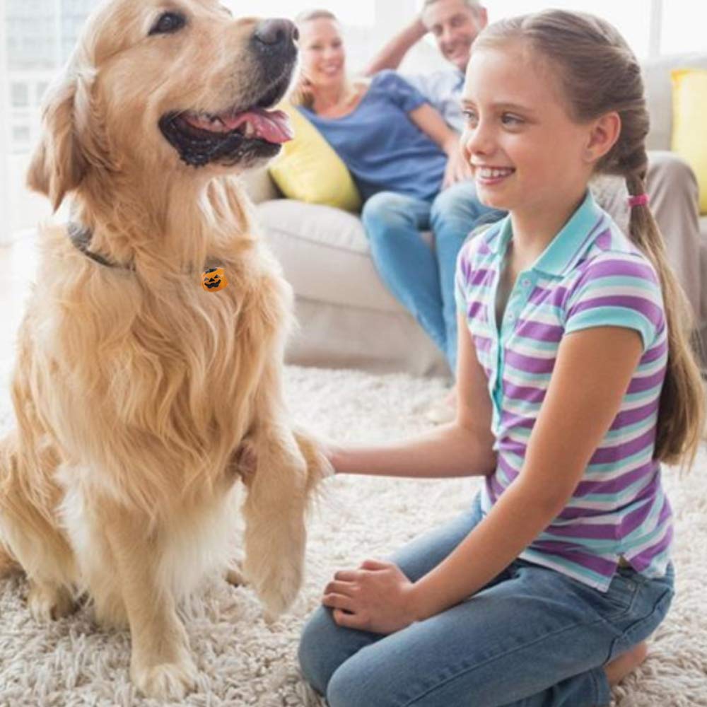 12 Pcs Pumpkin Bells Pet Collar Bells,Halloween Pendants Diy Crafts Handmade Accessories 19 Mm Charm Pendants Decoration