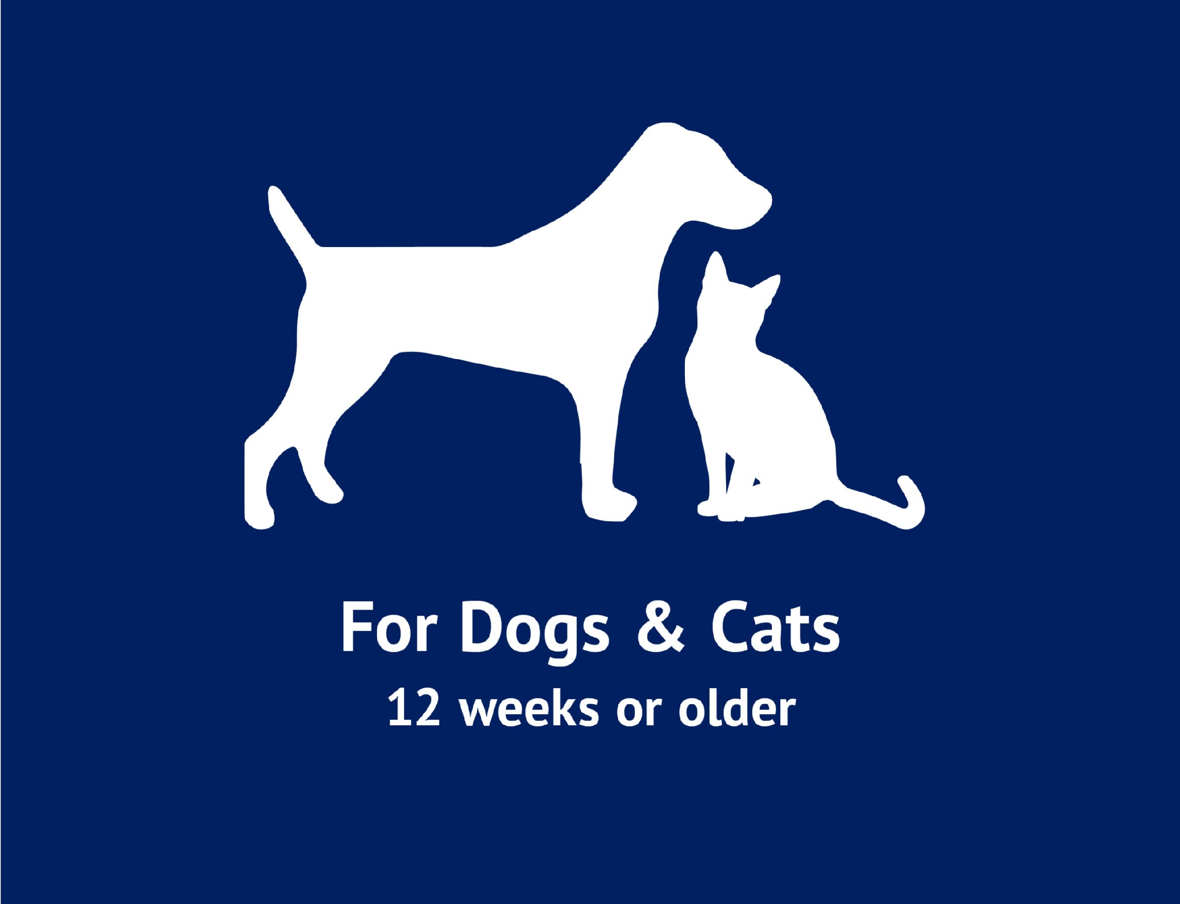 Naturel Promise Fresh & Soothing Oatmeal Itch Relief Shampoo For Pets, 22Oz - Fast Acting Oatmeal Shampoo For Dogs And Cats To Relieve Itchy Skin - Soap, Dye, & Paraben Free - Made In The Usa