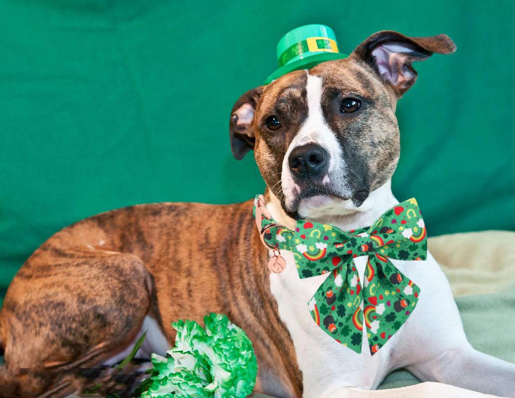 Dogwong Green Lucky Clover Shamrock Dog Collar With Bowtie, Soft Adjustable St. Patrick'S Day Lucky Charm Puppy Collar For Small