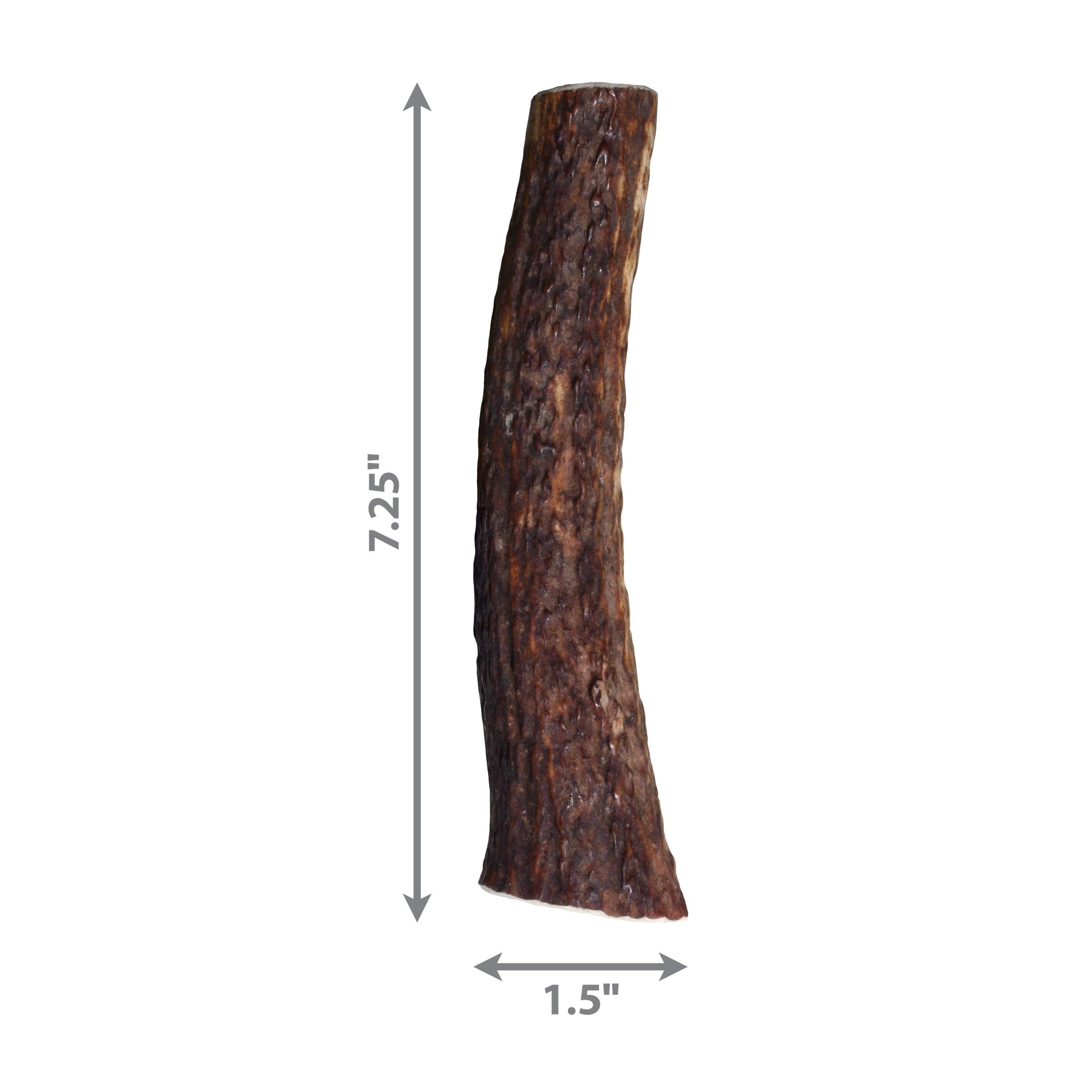 KONG Wild Antler Whole Lg