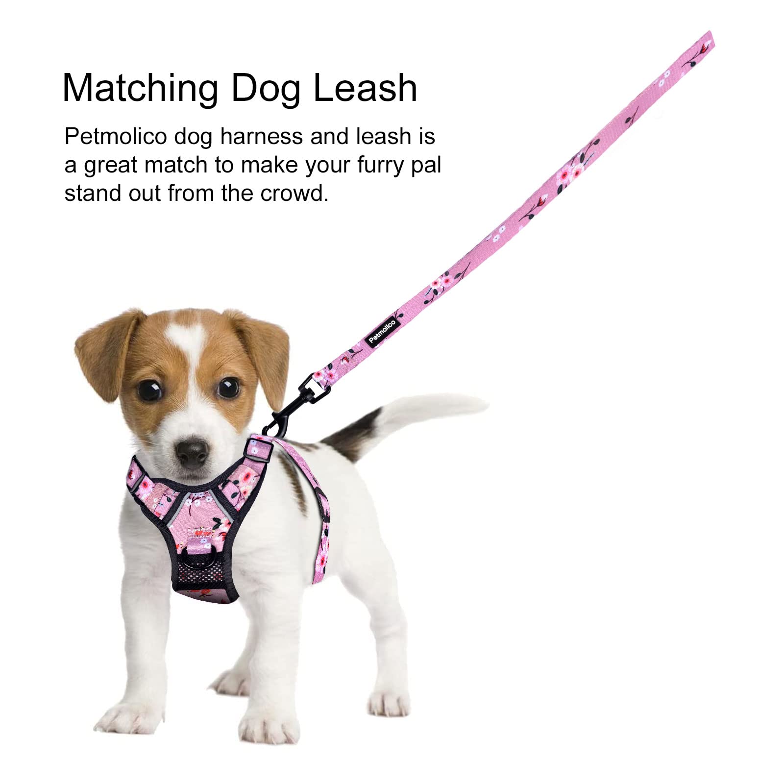 Petmolico Medium Dog Harness and Leash Set, No Choke, Soft Padded, Reflective Vest, Pink Plum, Model PT329
