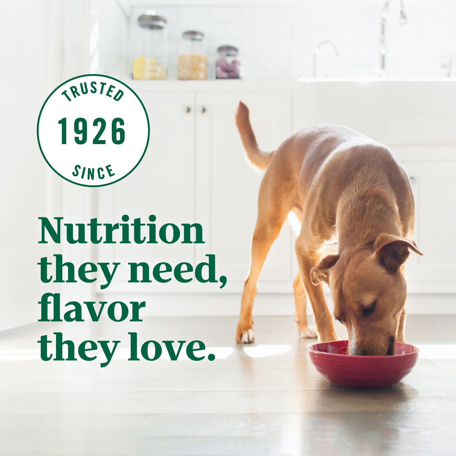 Nutro Ultra Adult Weight Management Dry Dog Food, Chicken, Lamb and Salmon Protein Trio, 24 lb Bag