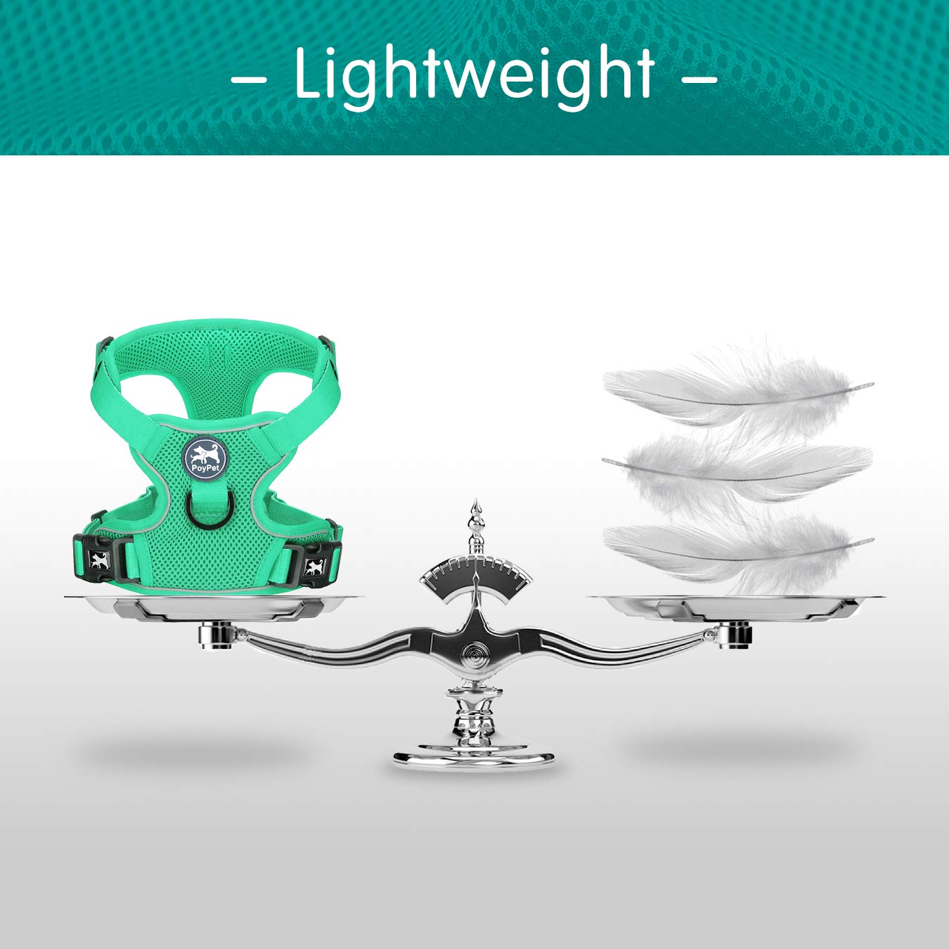 Poypet Reflective Soft Breathable Mesh Dog Harness Choke-Free Double Padded Vest With Adjustable Neck And Chest(Mint Green,Xl)