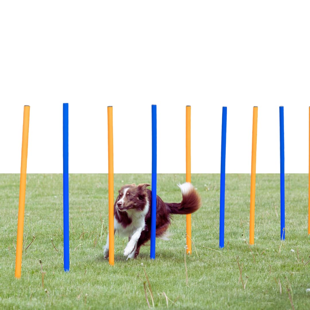 Trixie Dog Agility Course With 12 Slalom Weaves – Dog Weave Poles Ideal For Agility Training For Beginners & Advanced, Dog Agility Equipment For Dog Obstacle Courses