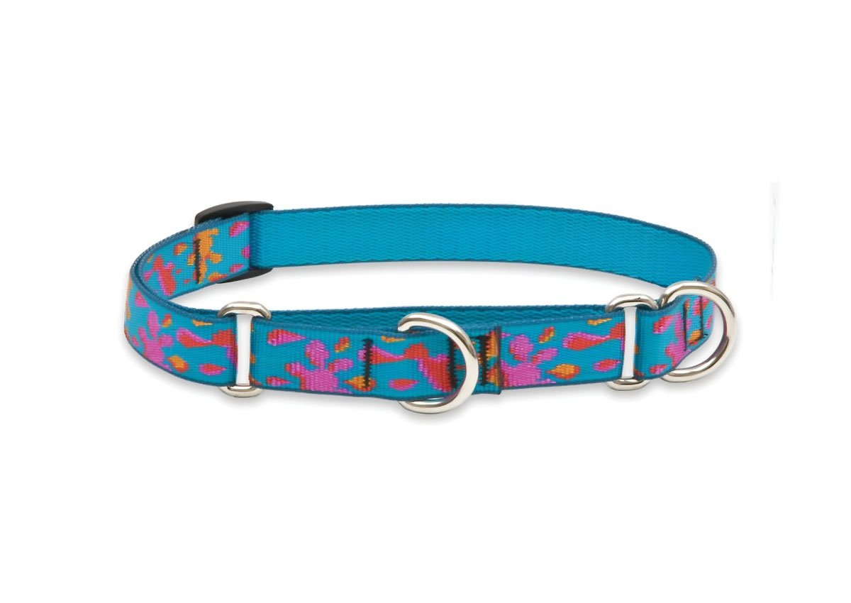 Lupinepet Originals 3/4' Wet Paint 14-20' Martingale Collar For Medium And Larger Dogs