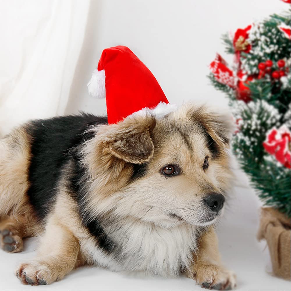 Adjustable 3D Christmas Santa Hat For Dogs Cats (Small)