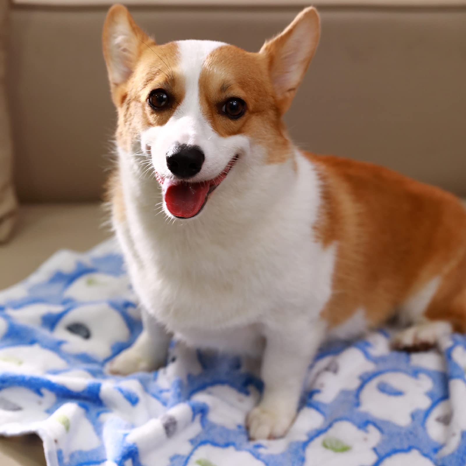 1 Pack 3 Blankets Super Soft Fluffy Premium Cute Elephant Pattern Pet Blanket Flannel Throw For Dog Puppy Cat Blue Small(23X16 Inch)