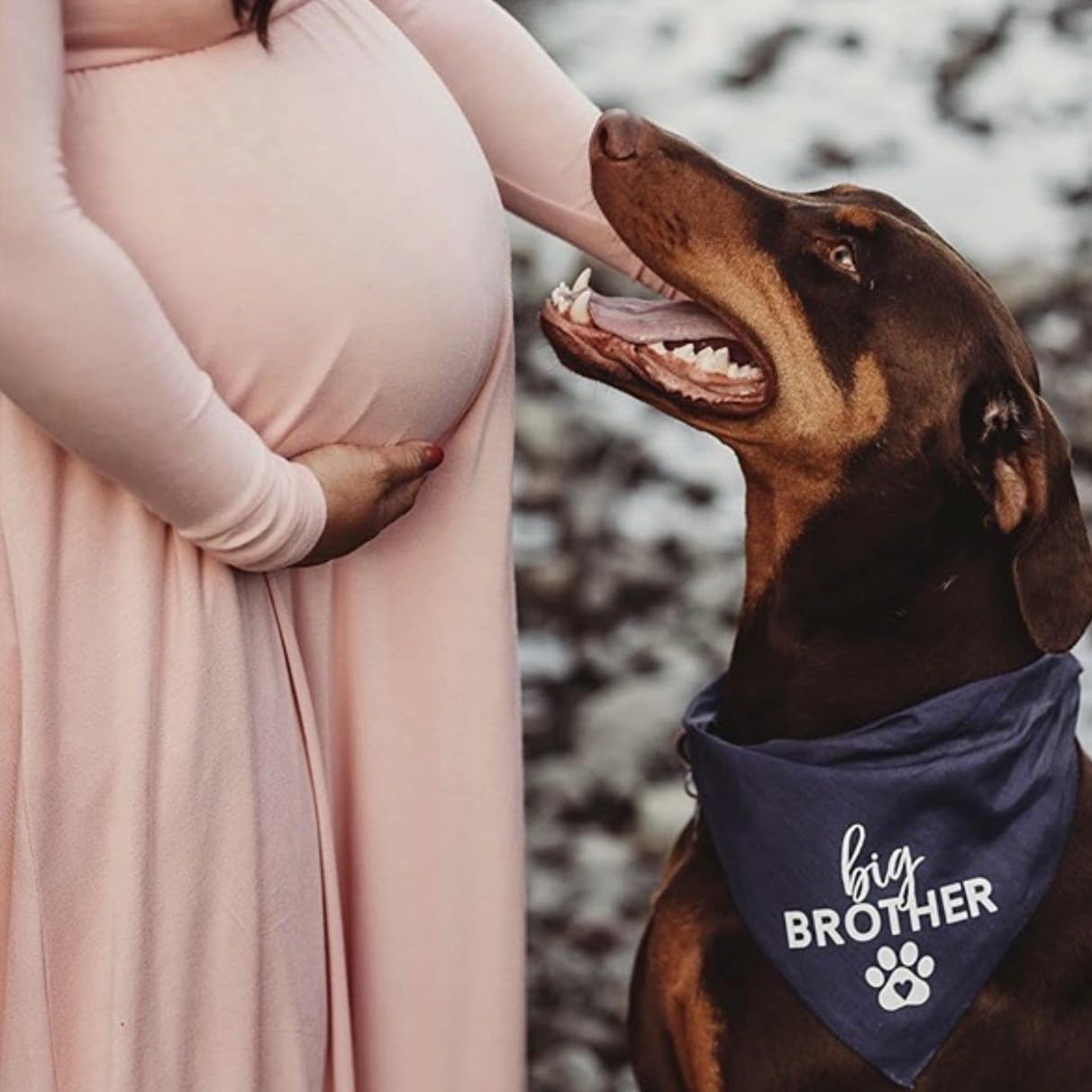 Big Brother With Heart Paw Baby Announcement Dog Bandana (Green, Xs 87)