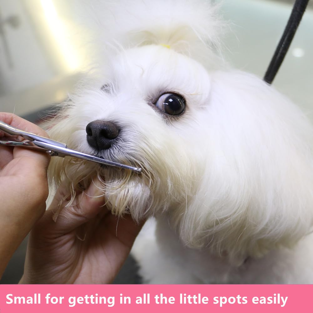Hashimoto Small Dog Grooming Scissors With Rounded Tips, 5.0 Inch, Straight Blade With Micro-Serrated, Designed For Trimming Aro