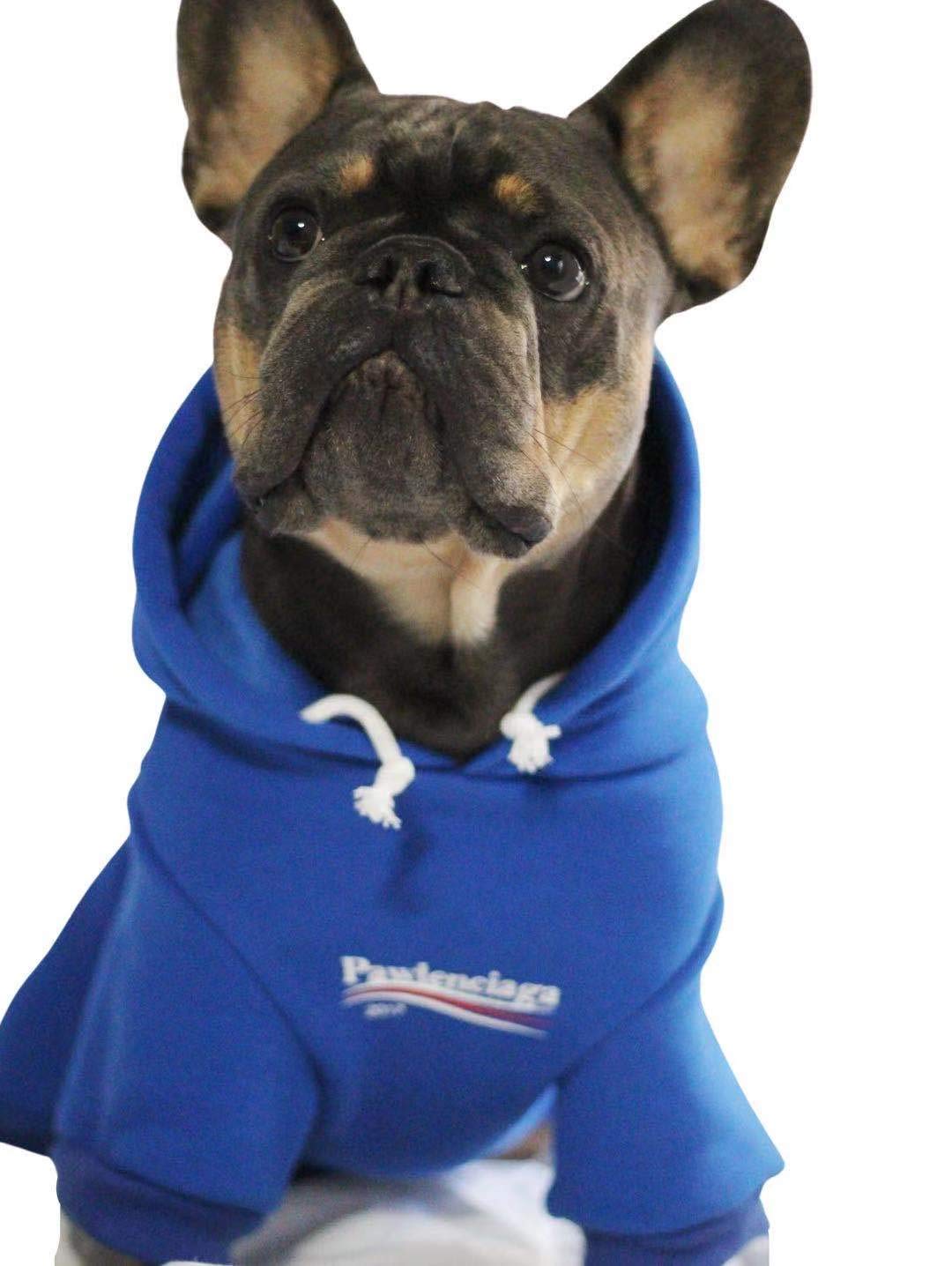 Chochocho Dog Hoodie Pet Clothing, Cats Hoodies, Stylish Streetwear Blue Dog Sweatshirt Tracksuits, Dog Outfit For Dog Cat Puppy