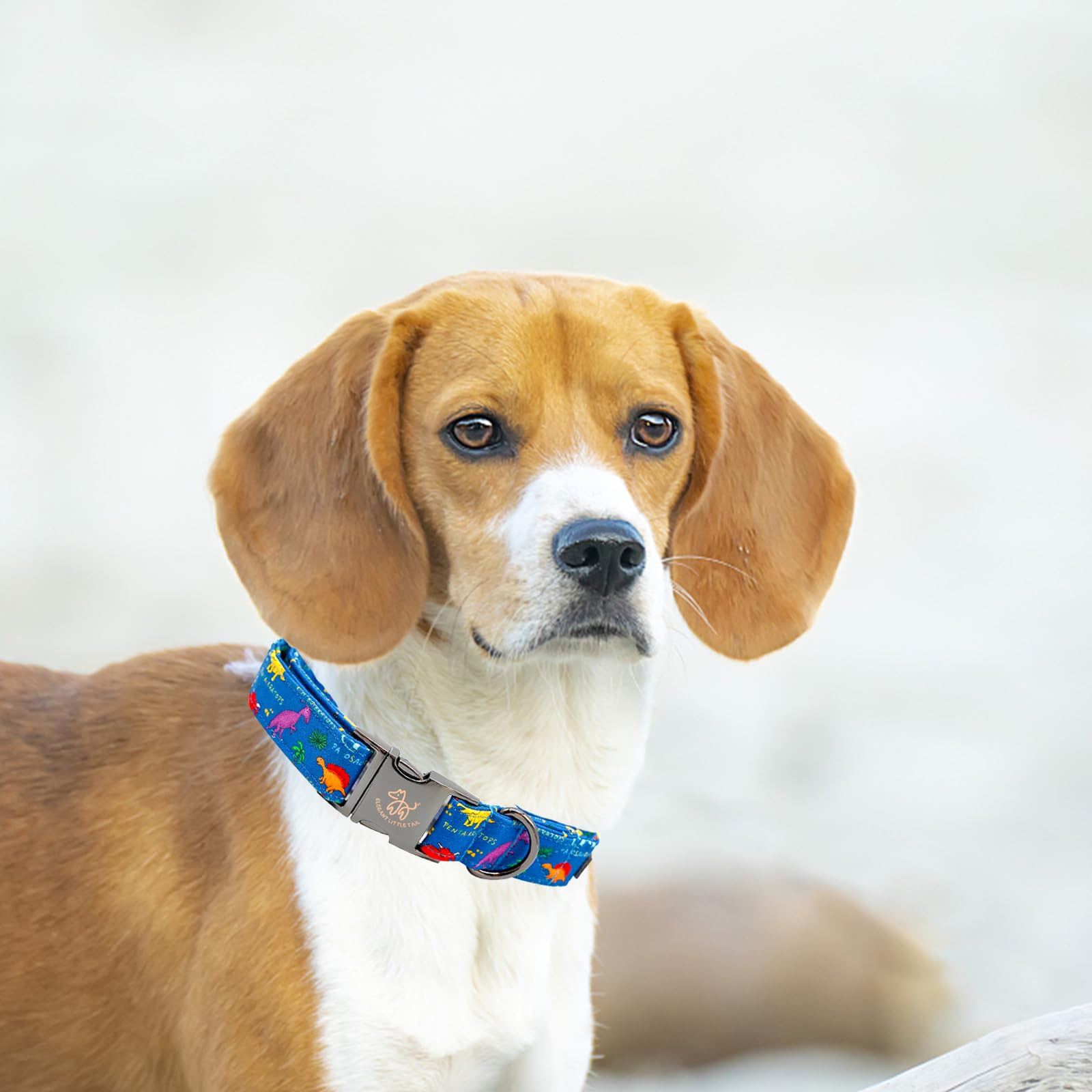 Elegant Little Tail Dog Collar, Blue Dinosaurs Pattern Pet Collar Durable Cute Dog Collars Male Or Female Pet Gift Adjustable Do