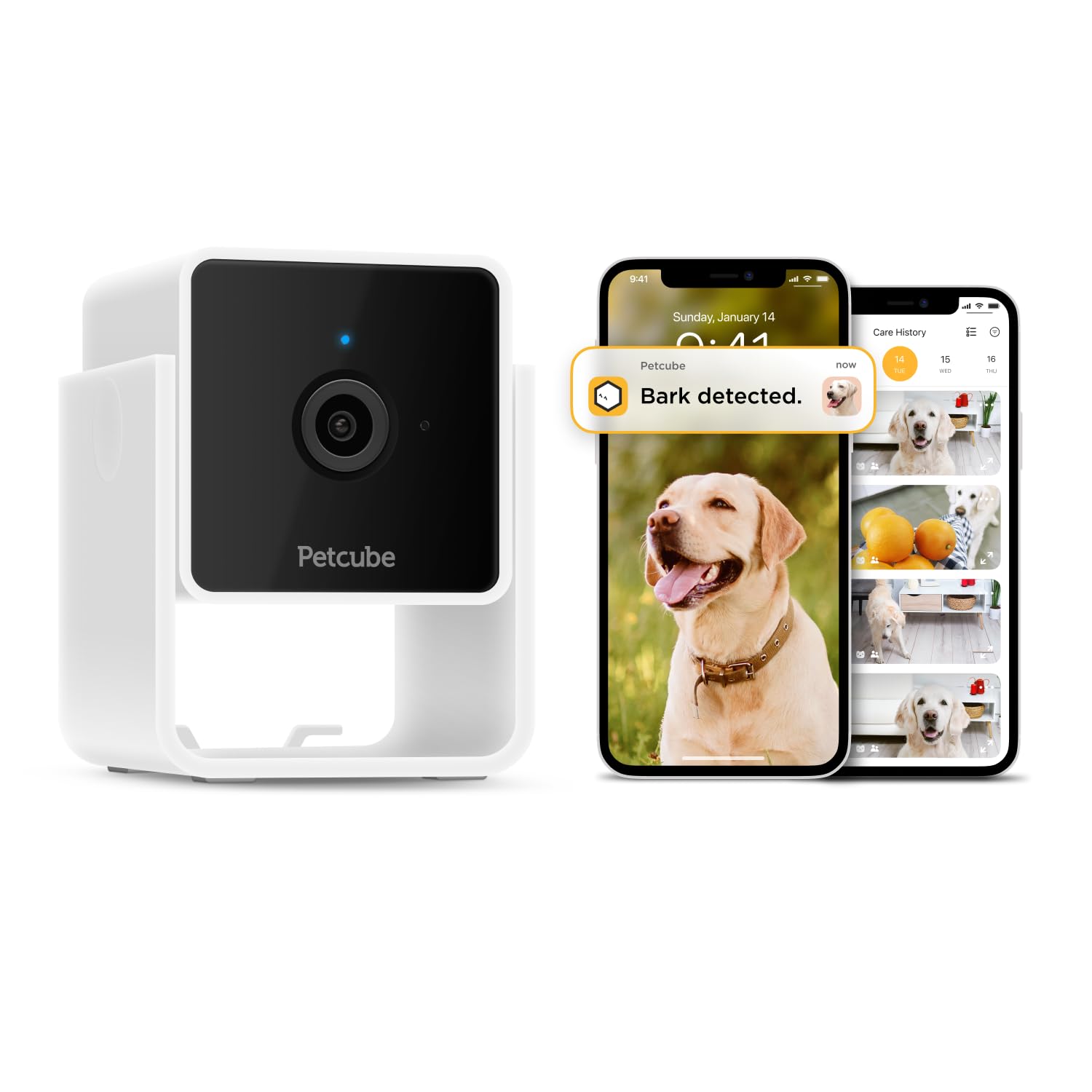 Petcube Cam And Care Coverage Subscription | Indoor Wi-Fi Pet And Security Camera With Phone App, Cats And Dogs Monitor With 2-W