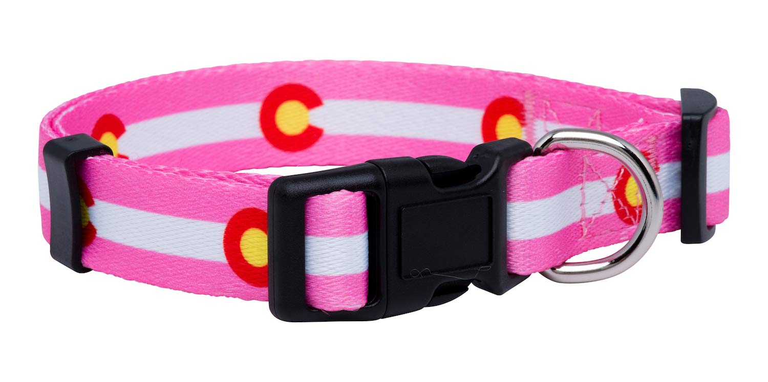 Native Pup Colorado State Flag Dog Collar (Colorado Pink, Large)