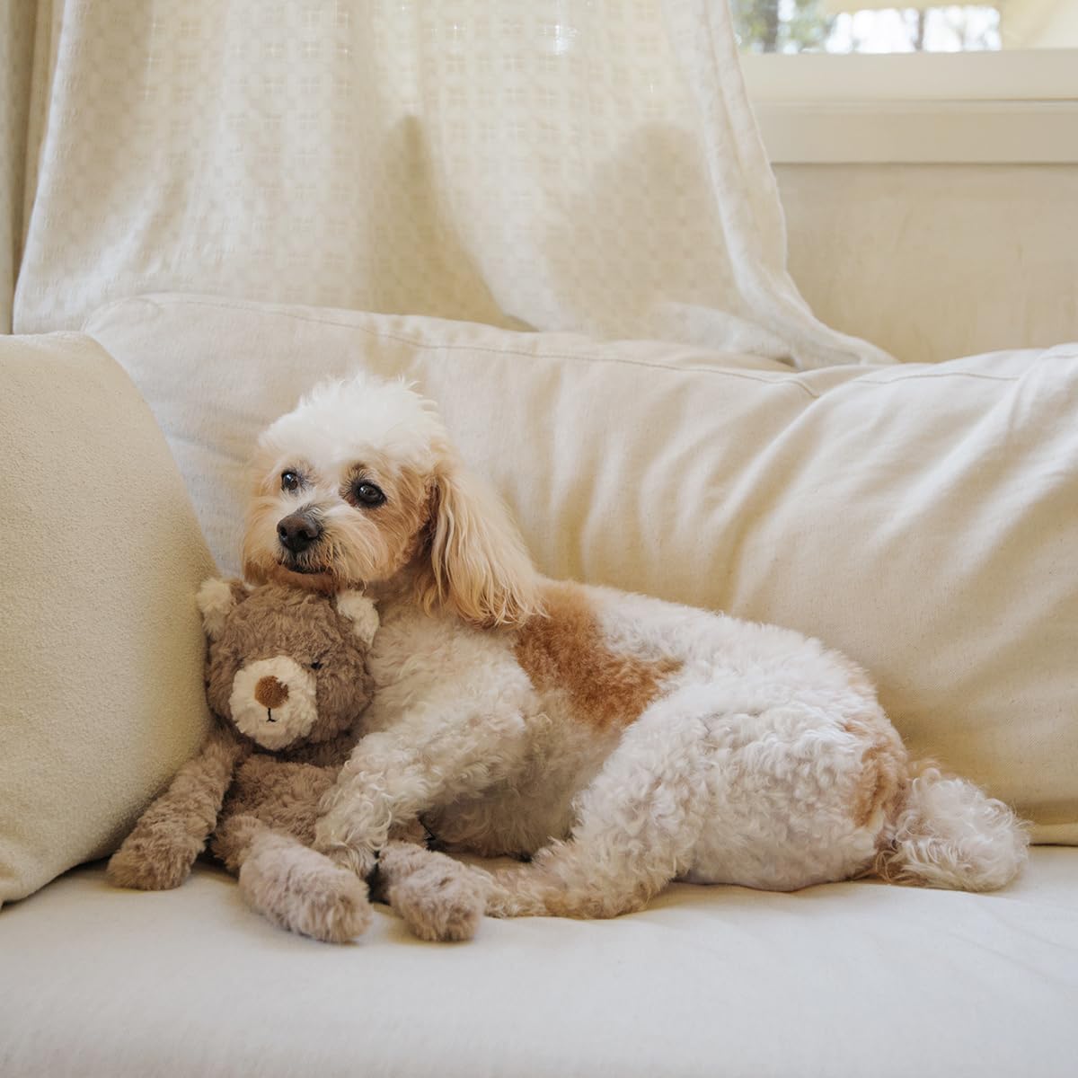 CHEWFFON Stuffless Dog Toy, Plush Puppy Squeaky Toy with Bear Design for Foraging Snuggling Fetch Retrieve, No Stuffing Crinkle