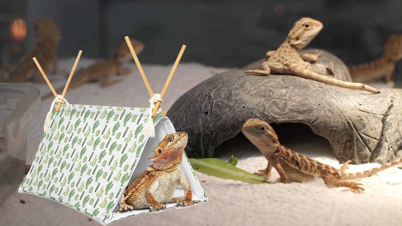 Bearded Dragon Tent Bed,Cactus Pattern Reptile Bearded Dragon Cage/Hides And Caves/Habitat Hideout?(Cactus)
