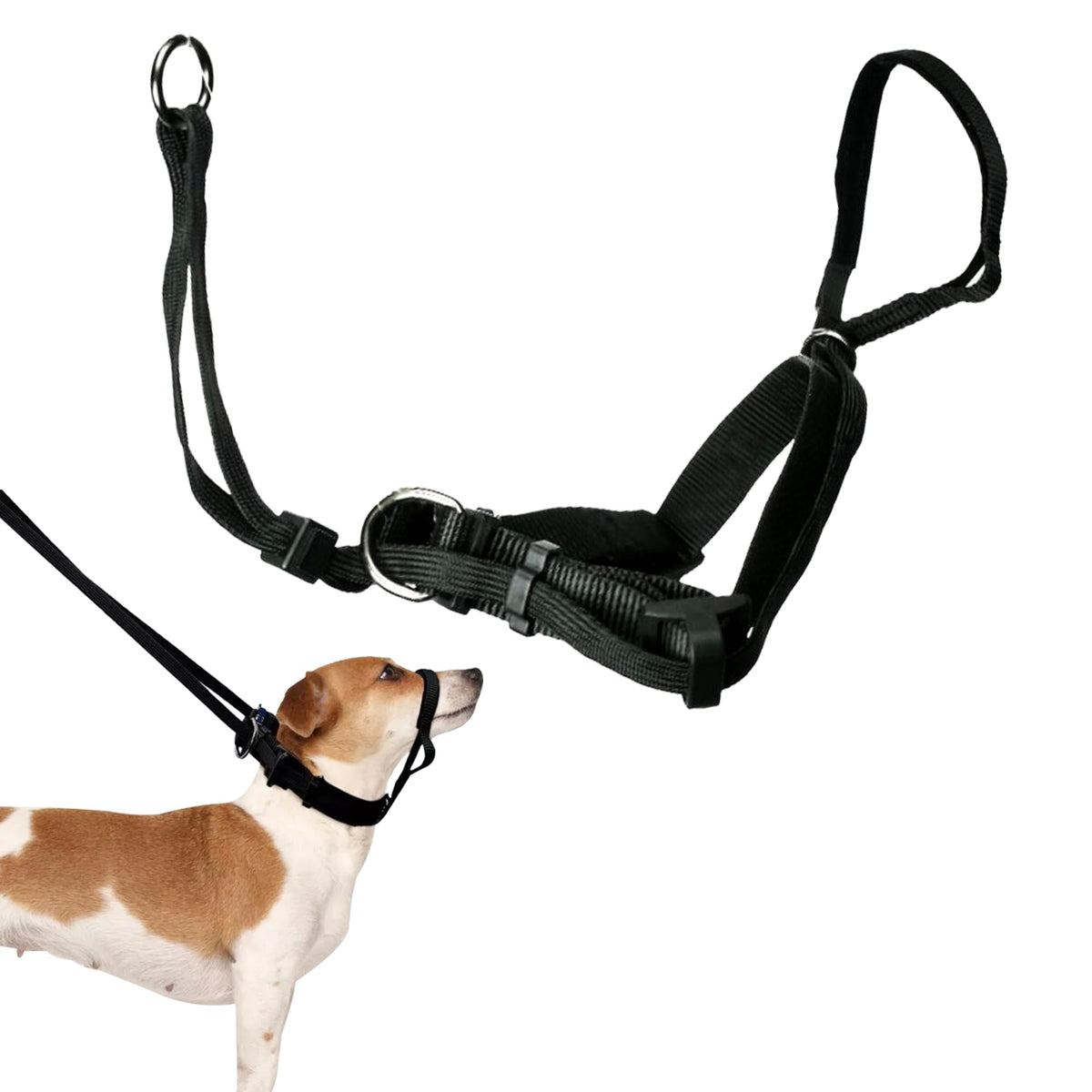 Sporn Yup! Pet Head Halter, Medium, Black, (33571)