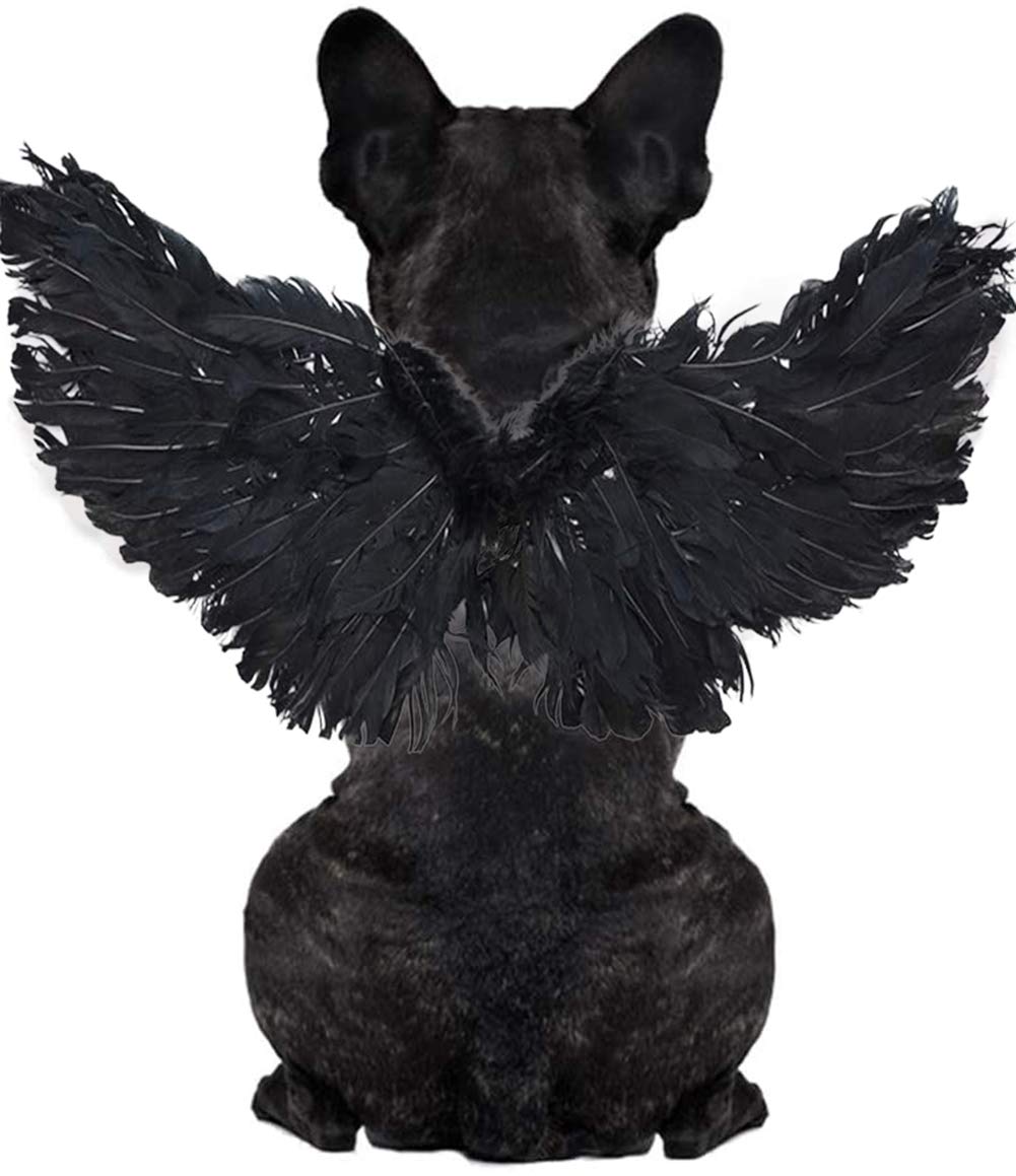 WeeH Pet Halloween Costume Cosplay Angel Devil Black White Wing for Dog Cat Rabbit Piggy - Funny Gift at Halloween Party Anime T