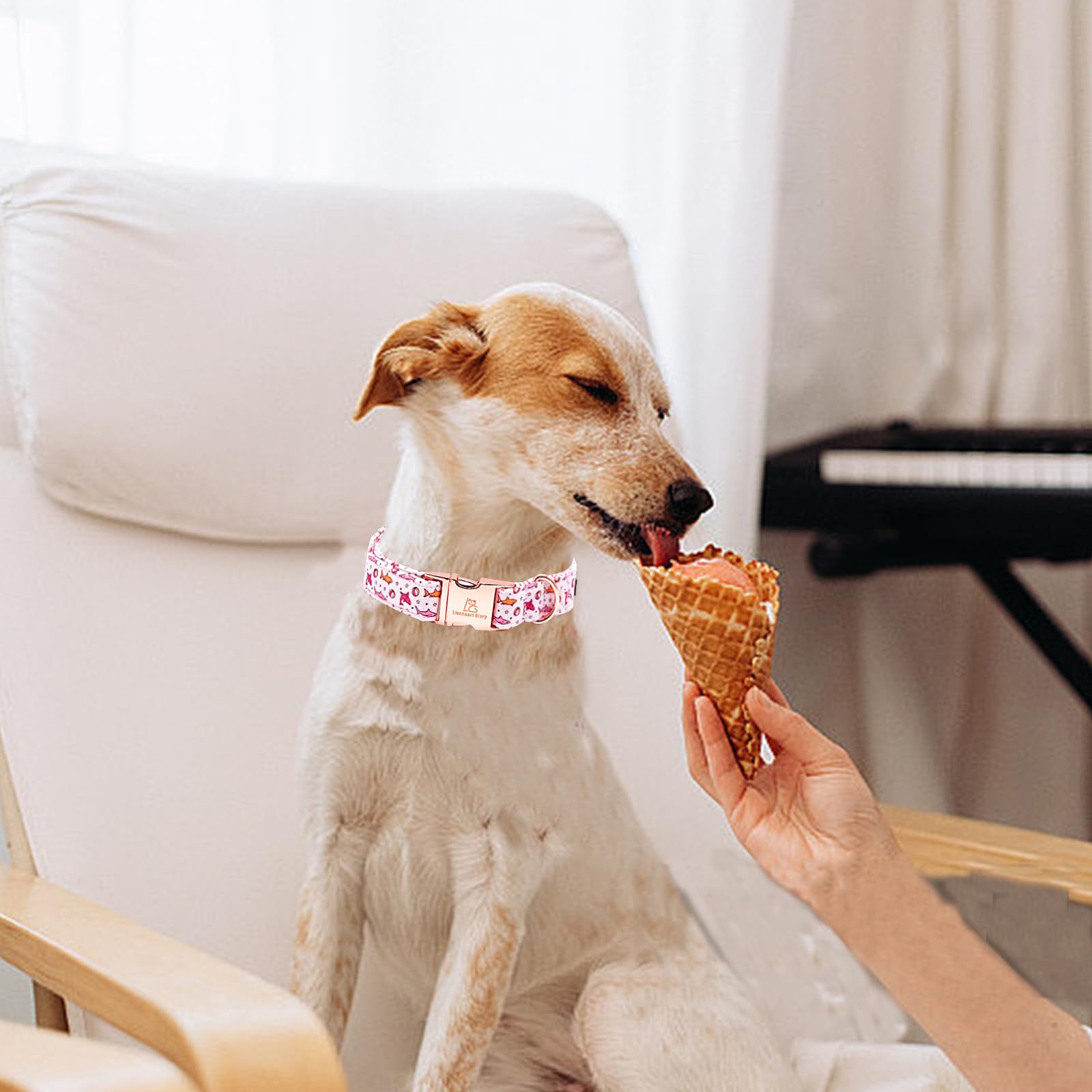 Lionheart Glory Shark Print Pink Adjustable Dog Collar For Small Dogs - Spring/Summer Gift