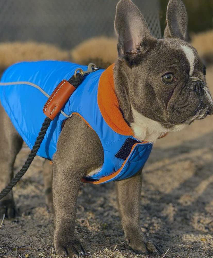 Gooby Sports Vest Dog Jacket - Blue, Medium - Reflective Dog Vest With D Ring Leash - Warm Fleece Lined Small Dog Sweater, Hook And Loop Closure - Dog Clothes For Small Dogs Boy Or Girl Dog Sweater