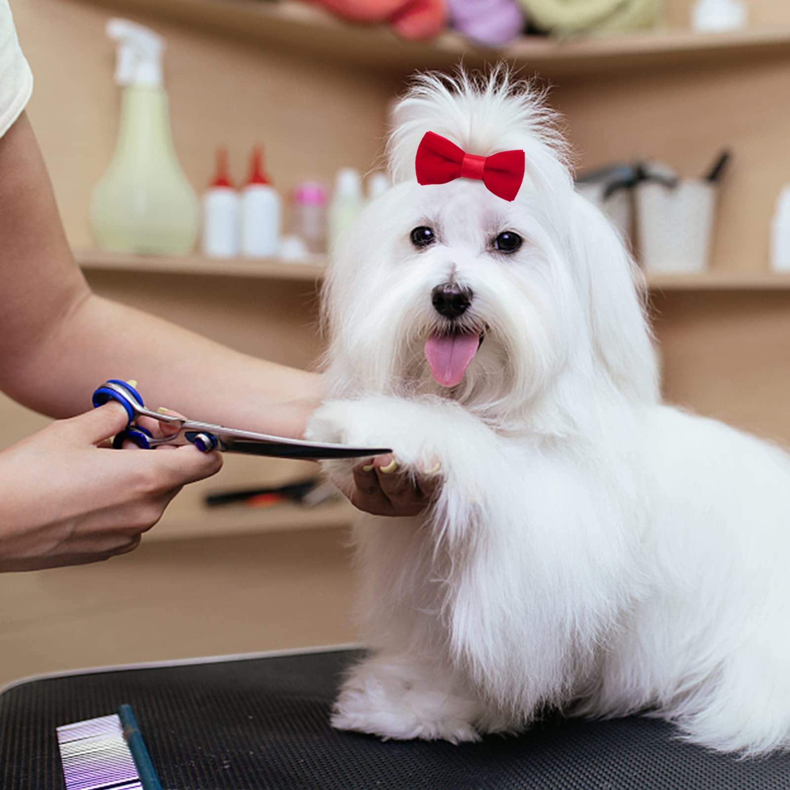 Www Small Dog Hair Accessories - 5 Pcs Cute Red Bow Flower Crown Hairpins, Barrettes For Girls, Puppies, And Cats - Party And Bi