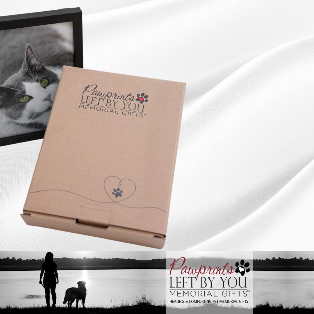 Pawprints Pet Memorial 5' X 7' Frame For Cats With Pawprints Left By You Poem (Frame With Ash Vial) - Beautiful Sympathy Gift To Remember A Beloved Cat - Pet Loss/Bereavement