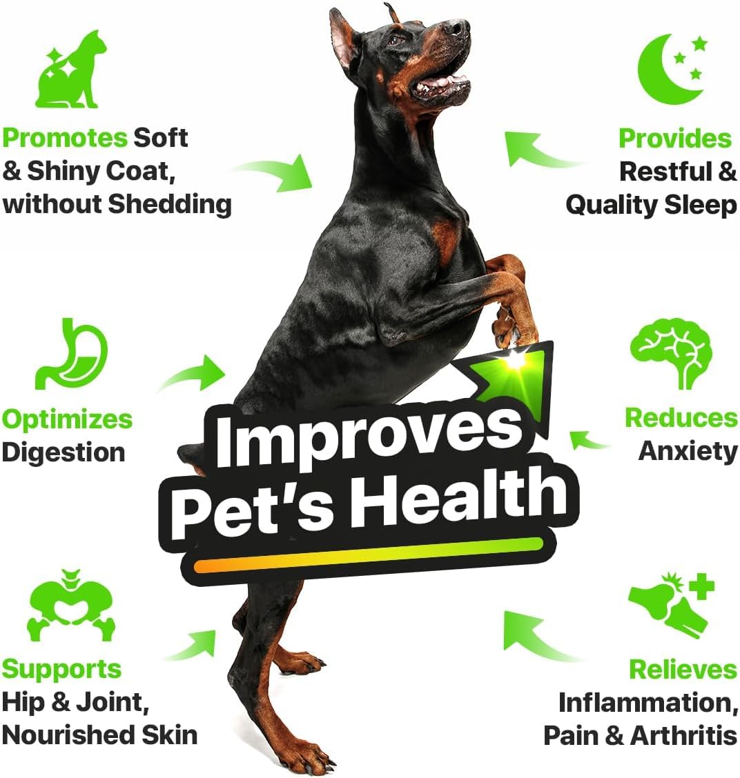 Charlie&Buddy H?mp and Salmon Oil for Dogs Skin and Coat H?alth - 3, 6, 9 Omega Pet H?mp Oil for Dogs and Cats, Rich in Vitamins