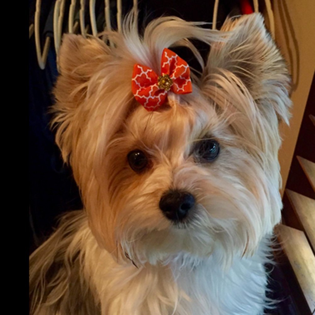 Rimobul 50Pcs Yorkie Pet Hair Bows With Rubber Bands, Cute Small Dog Hair Bows Pet Handmade Hair Bowknot Puppy