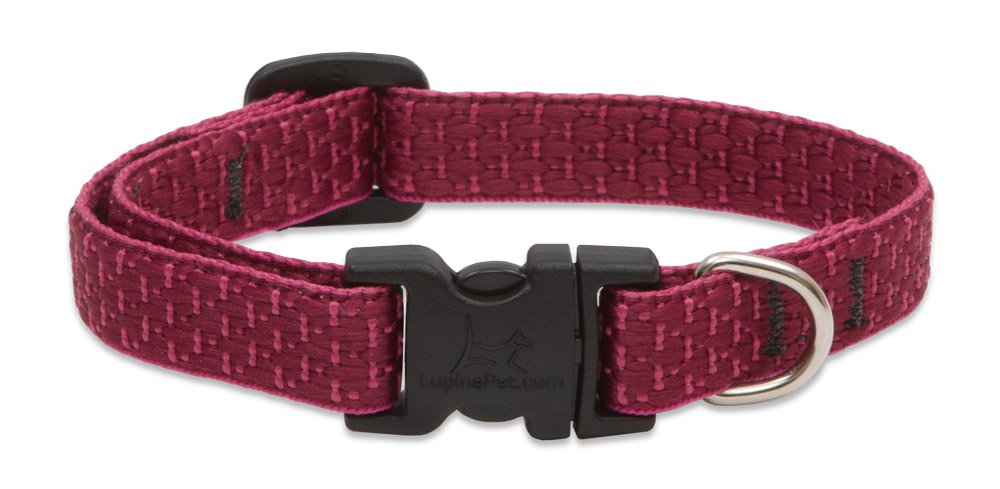 Lupinepet Eco 1/2' Berry 8-12' Adjustable Collar For Small Dogs