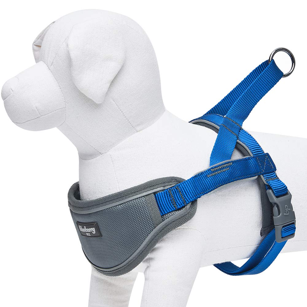 Blueberry Pet 8 Colors Soft & Comfy 3M Reflective Strips Padded Dog Harness Vest, Chest Girth 16.5' - 21', Navy, Small, Nylon Adjustable Training Harnesses For Dogs