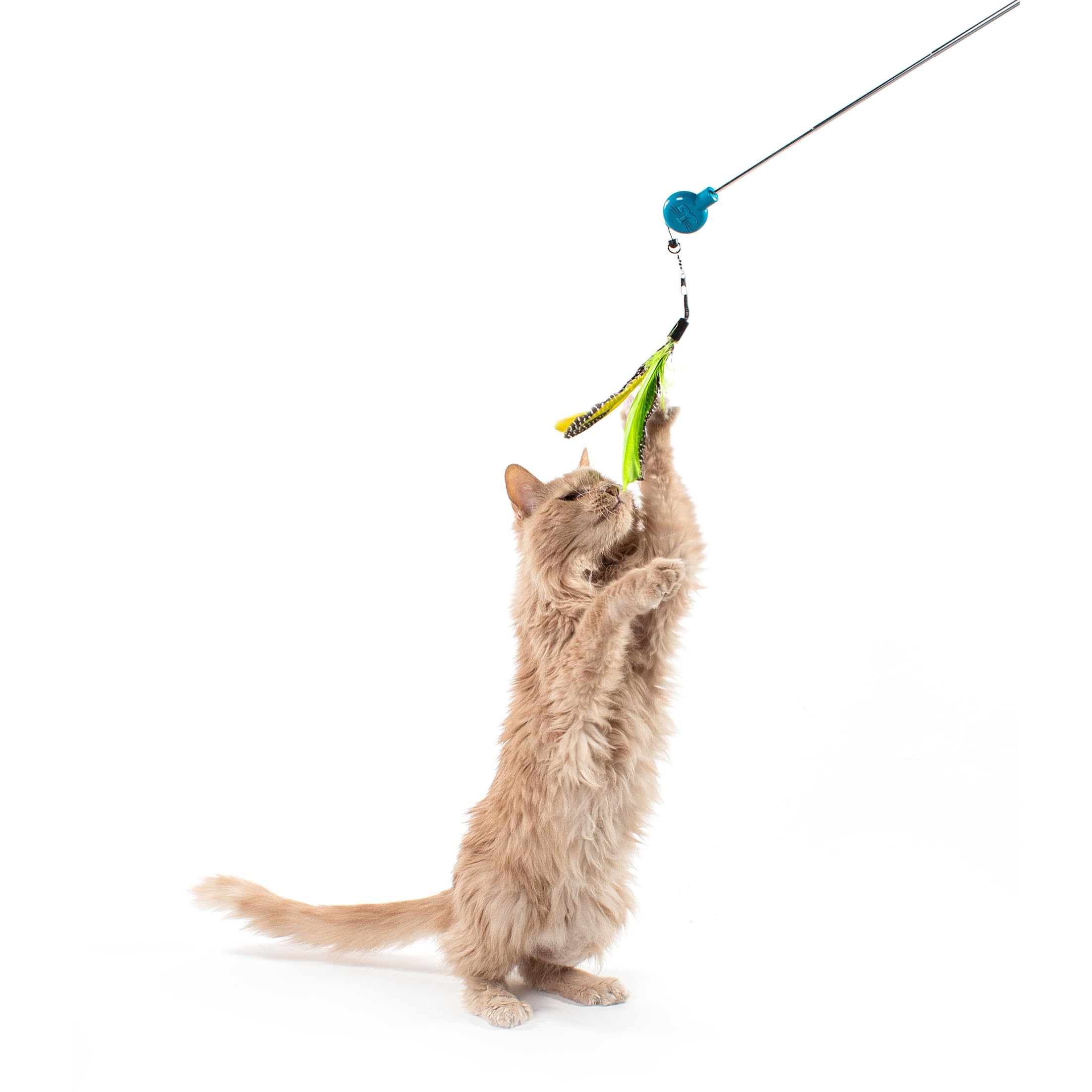 Jackson Galaxy Gotcha! Interactive Cat Wand Toy - Feather Wand in Blue & Green for Engaging Playtime