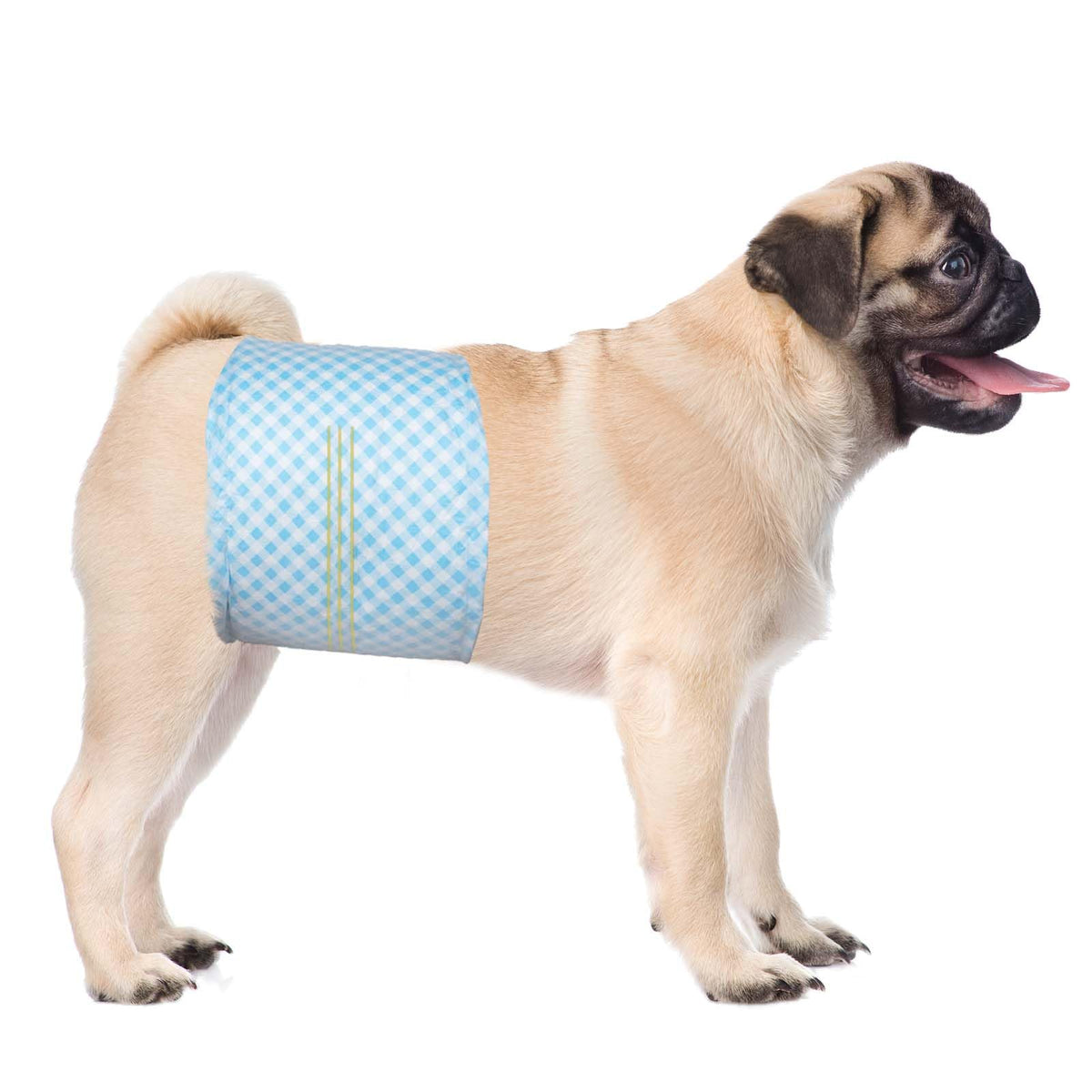 Disposable Belly Bands For Male Dogs,Puppy Diapers Male With Wetness Indicator, Super Absorbent Soft Male Dog Diapers (M, 20)