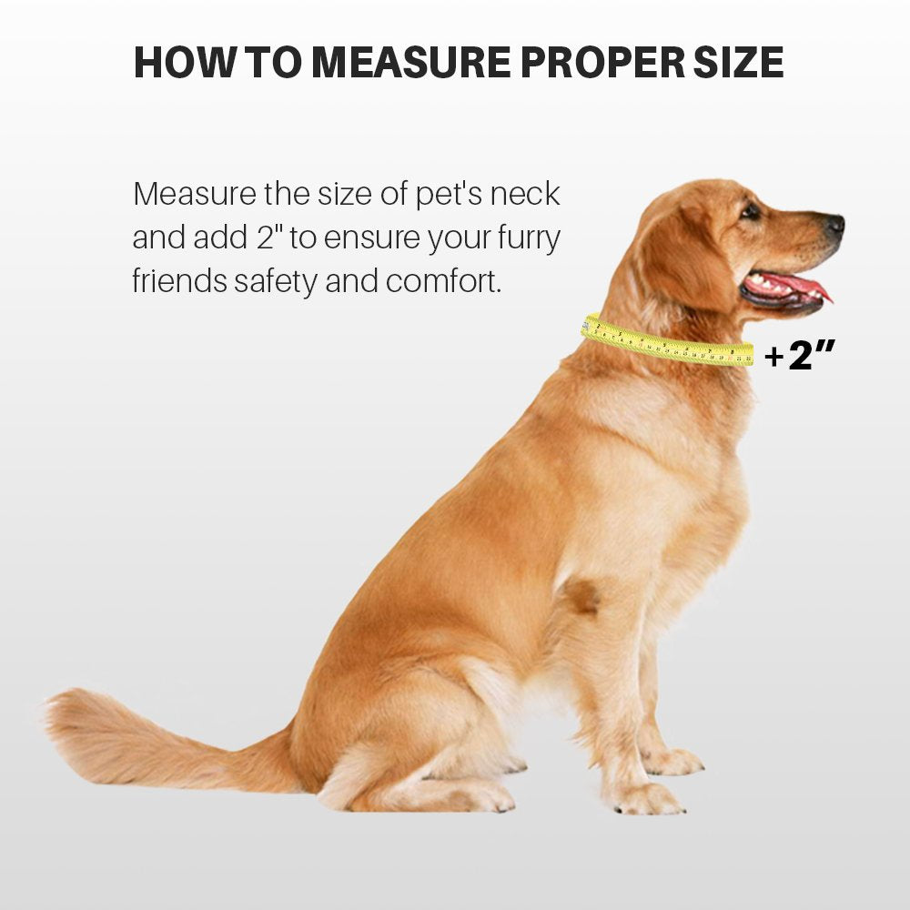 Hyhug Pets Classic Regular Heavy Duty Nylon Dog Basic Collar For Medium Dogs Daily Use Walking Jogging. (Medium, Military Green)