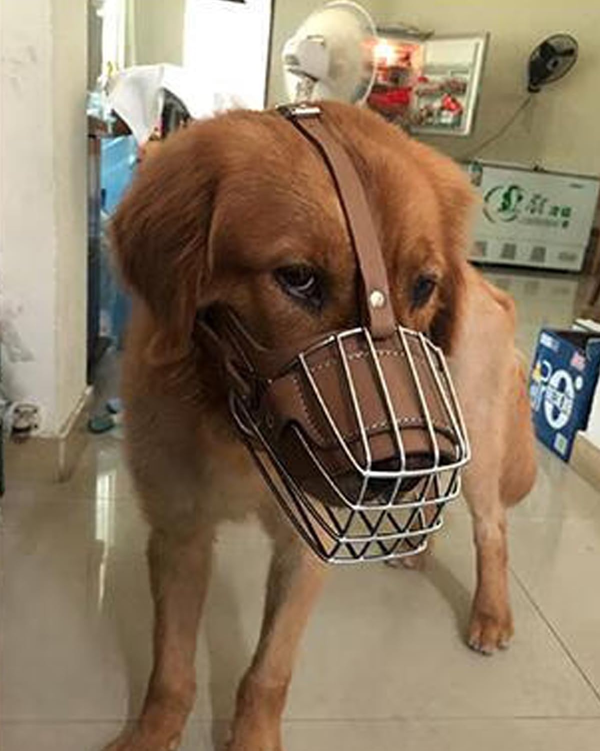 Dog Muzzle For Large Dogs, German Shepherd Muzzle With Adjustable Leather Straps And Soft Pads (Xl)