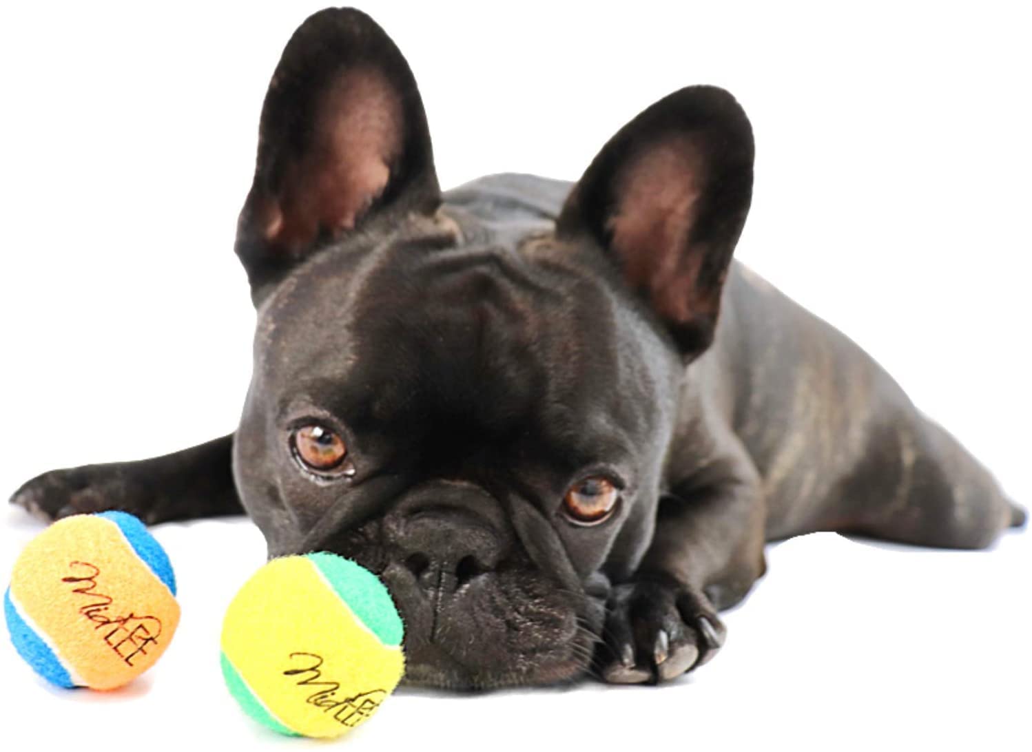 Midlee X-Small Dog Tennis Balls 1.5'' Pack Of 12 (Assorted, 1.5 Inch)