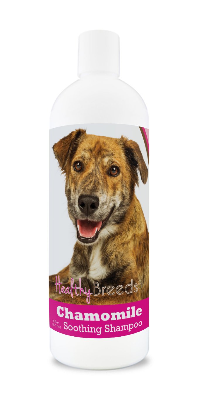 Healthy Breeds Plott Chamomile Soothing Dog Shampoo 8 oz